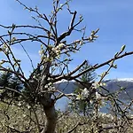 Rasberry In Beautiful Hardanger Ferienhaus *