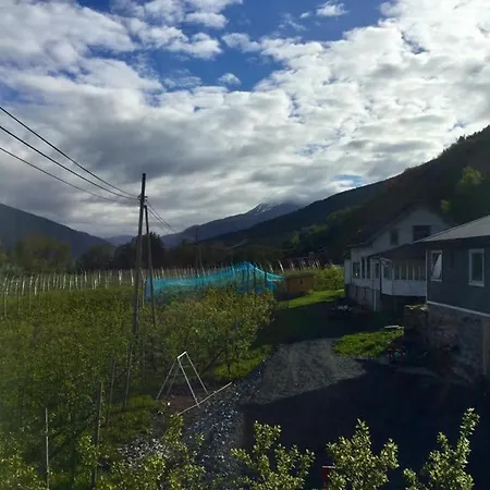 Rasberry In Beautiful Hardanger * Indre Alsaker