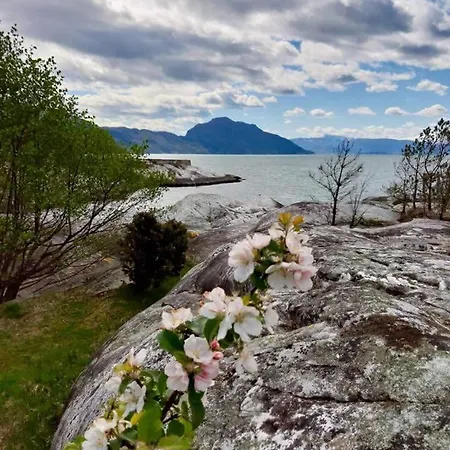 Rasberry In Beautiful Hardanger Ferienhaus