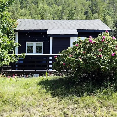 Rasberry In Beautiful Hardanger Indre Alsaker