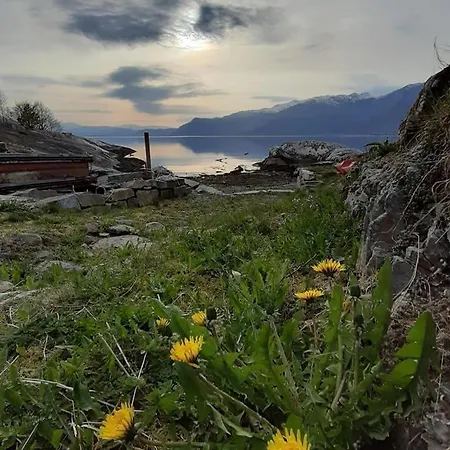 Rasberry In Beautiful Hardanger * Indre Alsaker